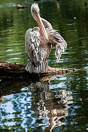 《刺客信条：幻景》游戏概念图曝光